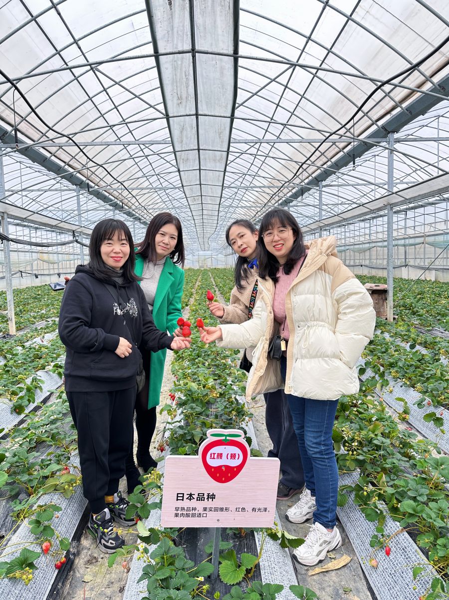 16782624964947666MjD.jpg 26.jpg